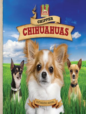 cover image of Chipper Chihuahuas